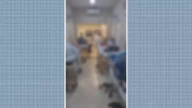 Superlotação no HC da Unicamp atinge 500% pela 2ª vez em 2 meses: pacientes internados em cadeiras de plástico