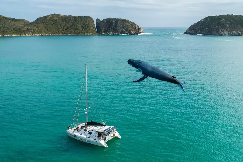 Temporada de Baleias 2025 em Arraial do Cabo: Um Espetáculo da Natureza na Região dos Lagos