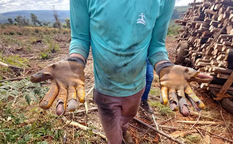 Trabalhadores, incluindo idoso de 74 anos, são resgatados em condições análogas à escravidão no Vale do Jequitinhonha