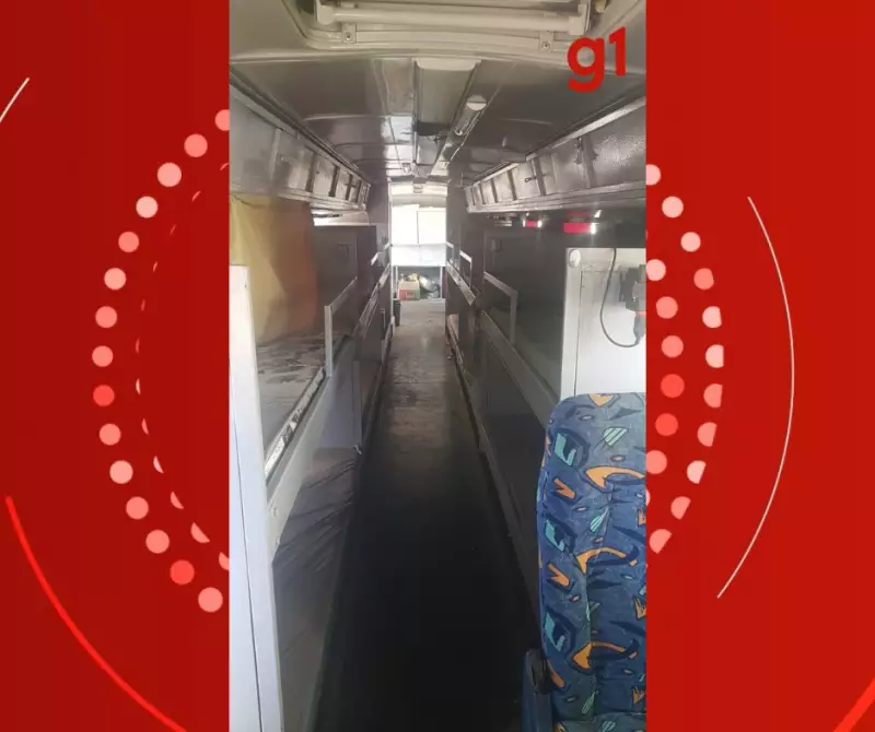 Trabalhadores resgatados de condições análogas à escravidão em MT: veja detalhes