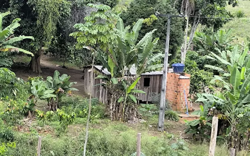 Trabalhadores resgatados em condições análogas à escravidão na Bahia: entenda o caso