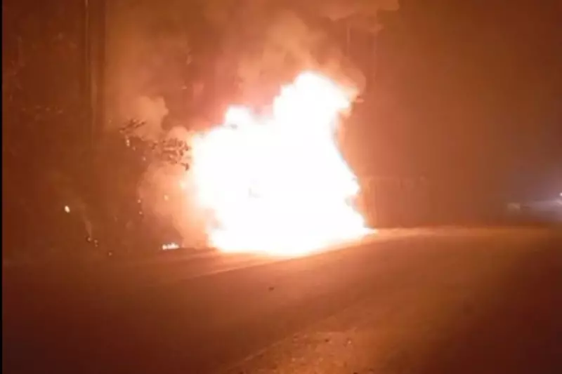 Tragédia na BR-282: Caminhão com porcos pega fogo e motorista morre carbonizado em SC