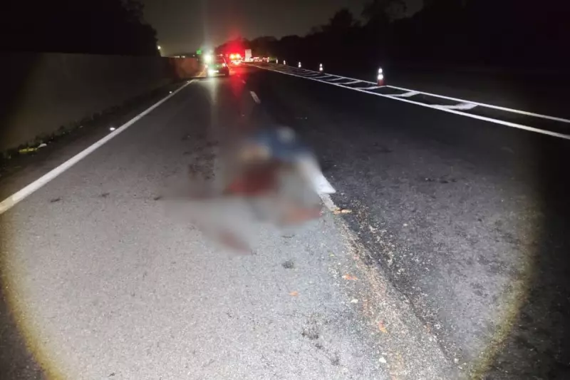 Tragédia na Rodovia Anchieta: Pedestre morre ao tentar atravessar via e é atropelado por carreta