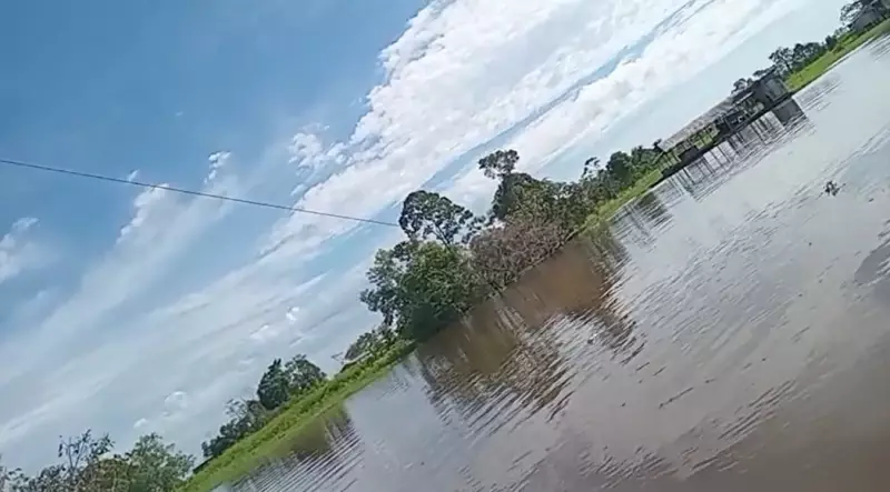 Tragédia no Amazonas: Homem morre eletrocutado após barco colidir com fio de alta tensão