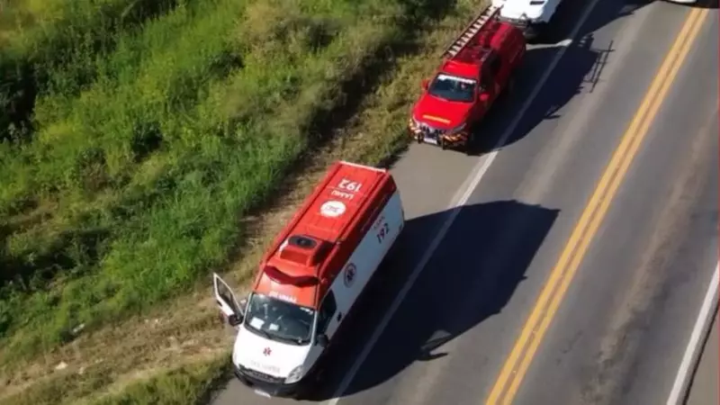 Tragédia no Ceará: Homem morre após ataque de abelhas em zona rural