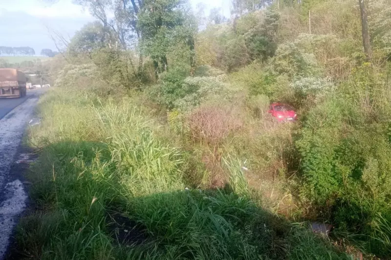 Tragédia no trânsito: homem de 61 anos morre após sair da pista e colidir com árvores no Norte do RS