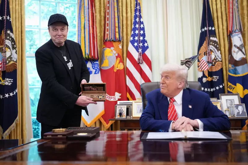 Trump comenta saída de Elon Musk do Twitter: 'Ele vai ficar indo e voltando'