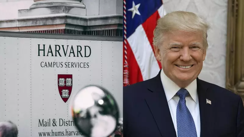 Trump vs. Harvard: O conflito político que abalou as elites acadêmicas dos EUA