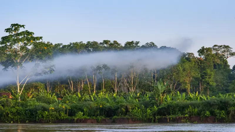 Turistas são assaltados por homens armados durante passeio na Amazônia: relatos de terror