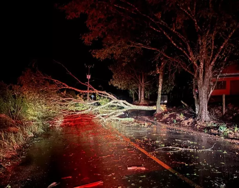 Ventos de mais de 100 km/h destroem telhado de ginásio em SC: veja imagens do estrago