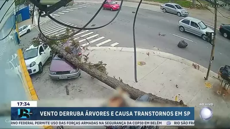 Ventos fortes causam estragos e transtornos em São Paulo: árvores caídas e interrupções no trânsito