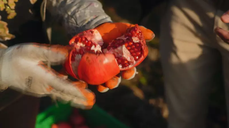 Vinho de Roma: Descubra os Segredos da Bebida Tradicional do Azerbaijão