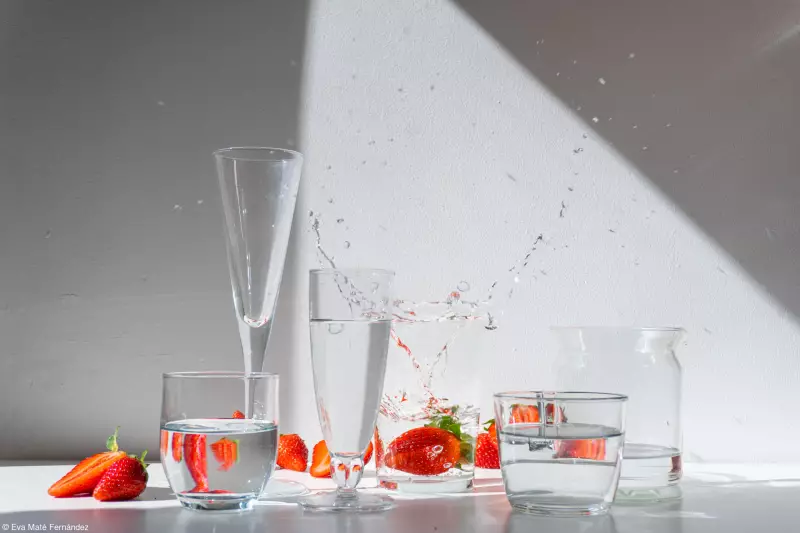 World Food Photography Award: Confira os cliques mais impressionantes da gastronomia mundial