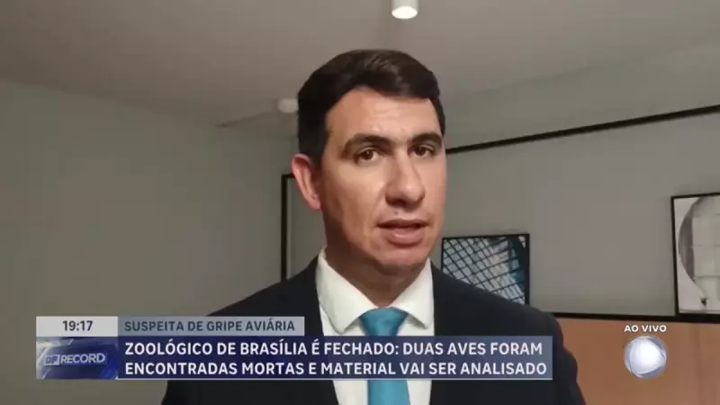 Zoológico de Brasília é fechado por suspeita de gripe aviária: entenda os riscos