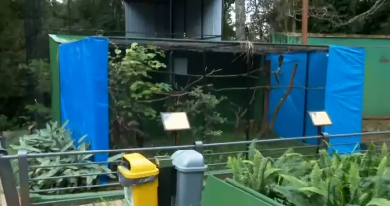 Zoológico de Cascavel se prepara para proteger animais do frio intenso