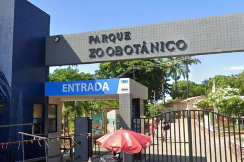 Zoológico de Salvador reabre com novidades após reforma de três meses