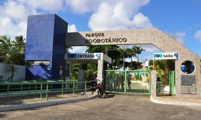 Zoológico de Salvador reabre com novidades após reforma: veja o que mudou!
