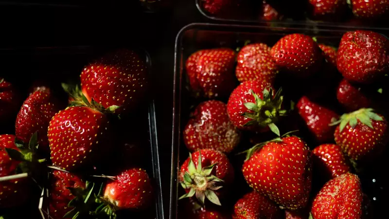 10 Alimentos com Muito Poucas Calorias para Incluir na Sua Dieta