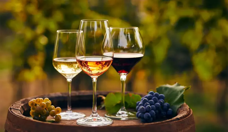 10 Vinhos Suaves de Qualidade para Apreciar em 2025: Descubra os Melhores!