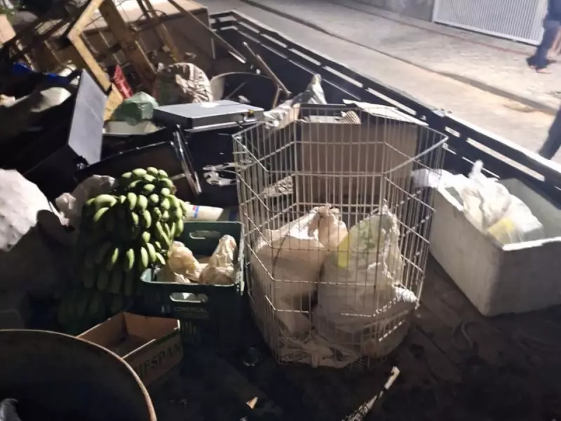 24 animais resgatados em situação de maus-tratos em Santa Catarina: veja detalhes