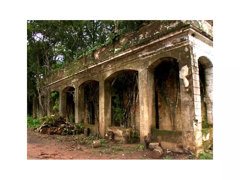 A Casa Verde: Novo roteiro amazônico inspirado em Machado de Assis promete encantar o público