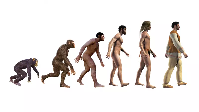 A evolução do bipedalismo: uma jornada complexa e não linear
