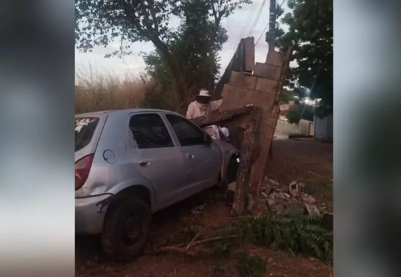 Abelhas atacam motorista e causam acidente no Tocantins: veja o que aconteceu