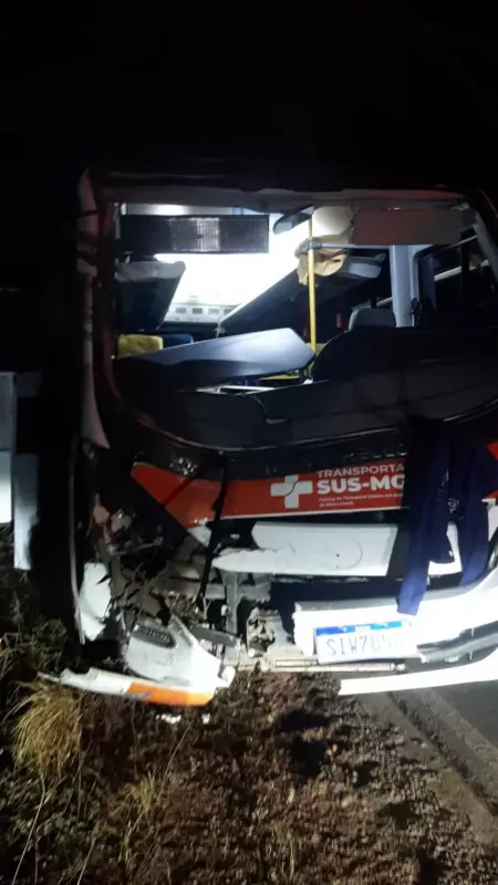 Acidente entre micro-ônibus da saúde de Unaí e carreta deixa feridos na MG-188