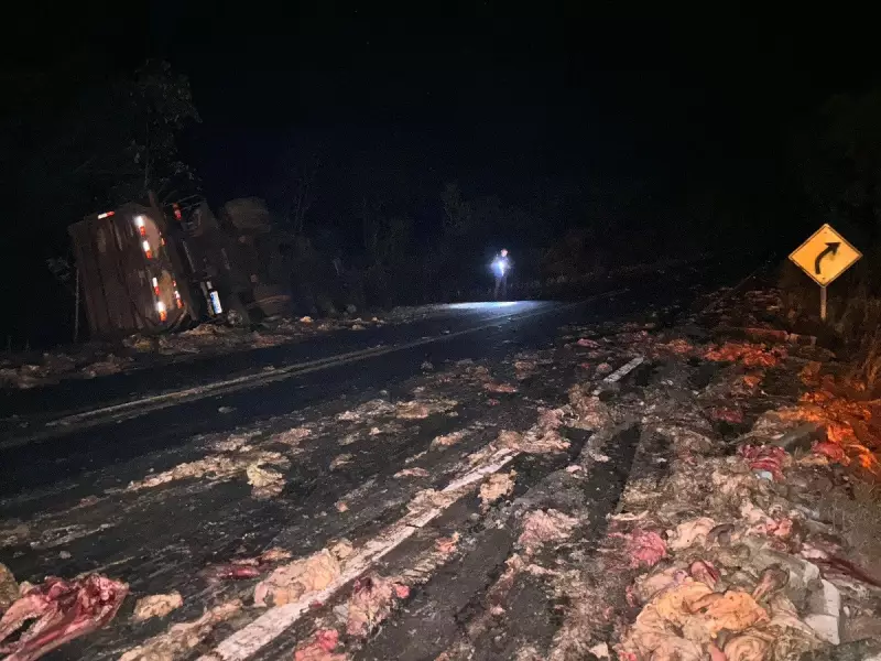 Acidente na TO-134: ônibus desvia de caminhão tombado com restos de gado e sai da pista