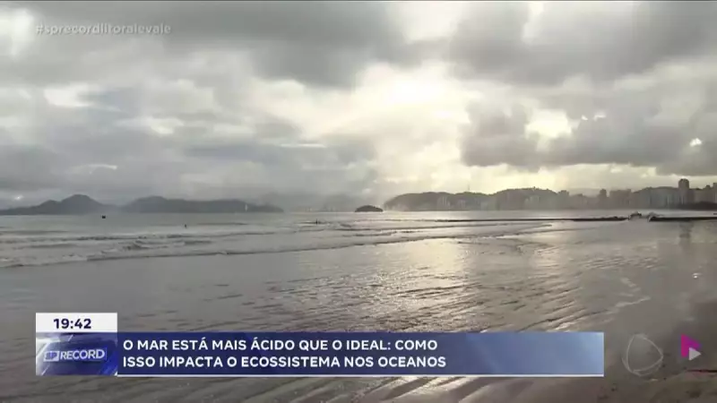 Acidificação dos oceanos: estudo revela efeitos devastadores na vida marinha