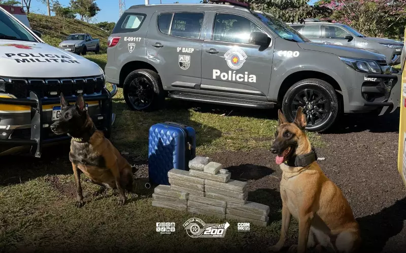 Adolescente de 15 anos é apreendido com maconha em ônibus interestadual em São José do Rio Preto