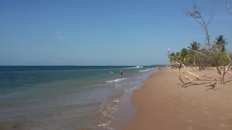 Adolescente é amarrada e sofre agressões na Bahia: caso choca comunidade