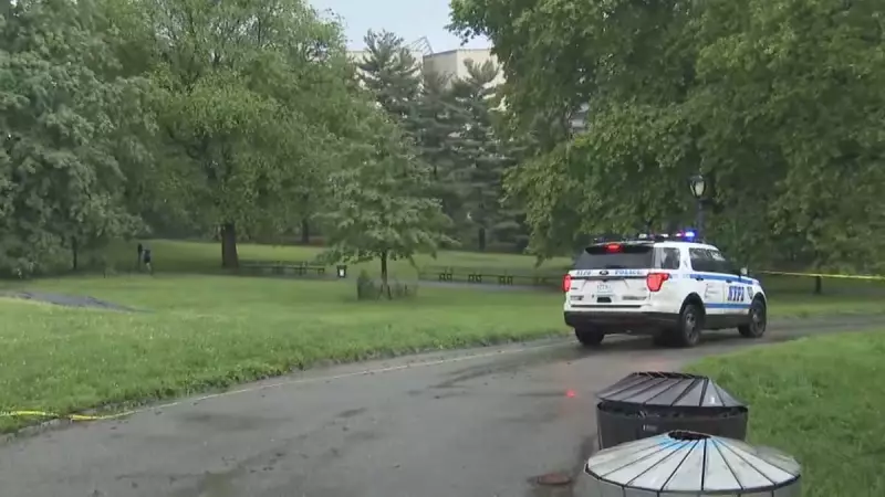 Adolescente em estado grave após ser atingido por raio em Nova York: saiba detalhes