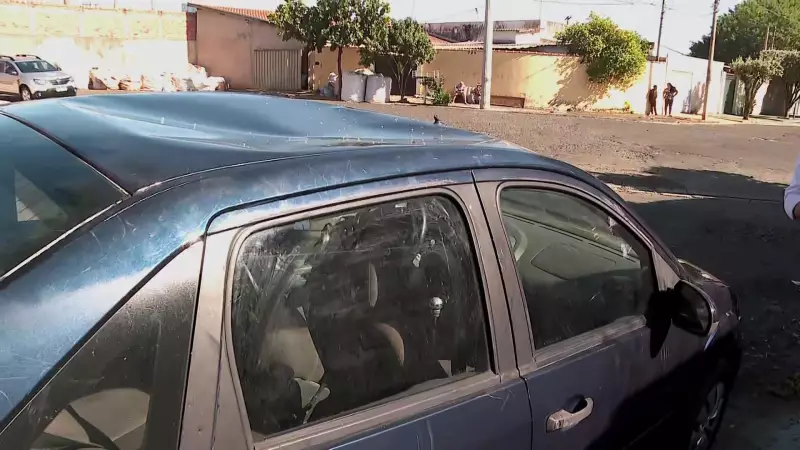 Adolescente sobe em carro para fugir de cachorro em fúria no interior de SP: 'Não tinha muito o que fazer'