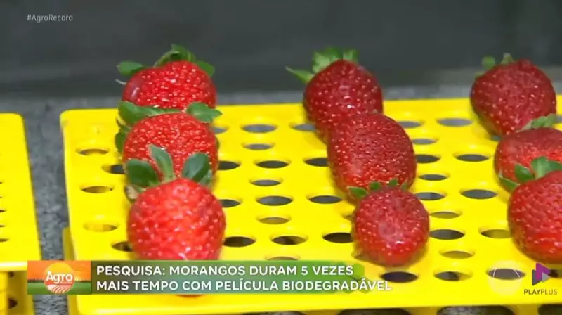 Agro Record: Feira no Interior de SP Promete Movimentar o Agronegócio em 2025