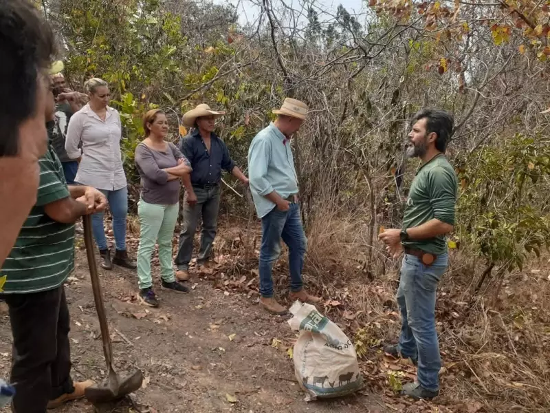 Agroecologia: Como a Sabedoria Ancestral Pode Salvar o Futuro da Alimentação