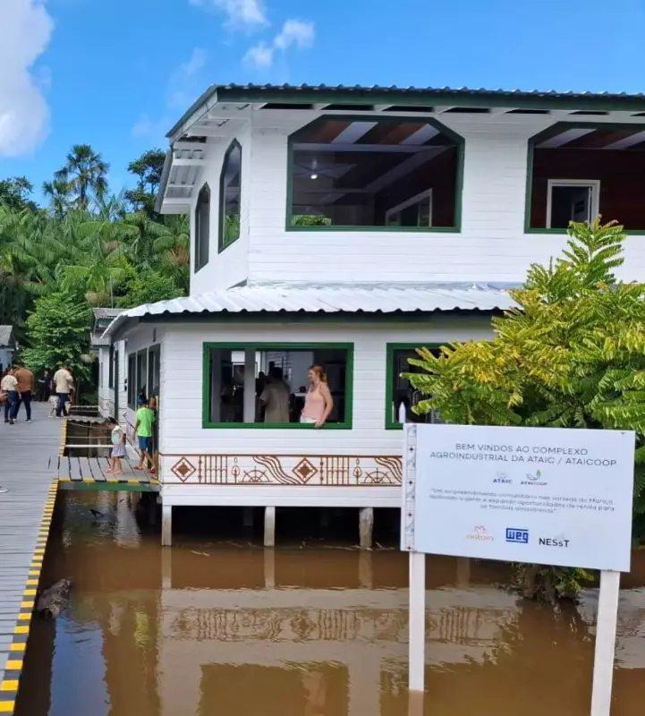 Agroindústria Amazônica Brilha com Energia Solar e Vira Modelo de Sustentabilidade
