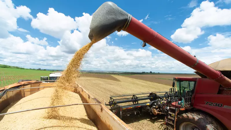 Agronegócio brasileiro bate recorde de produtividade e impulsiona a economia em 2024
