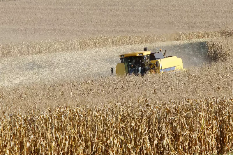Agropecuária impulsiona PIB do Paraná a superar crescimento dos EUA em 2025