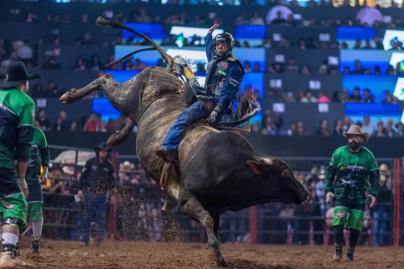 Alan de Souza e Ana Laura Savini Gomes brilham na 2ª noite do Rodeio de Americana 2025