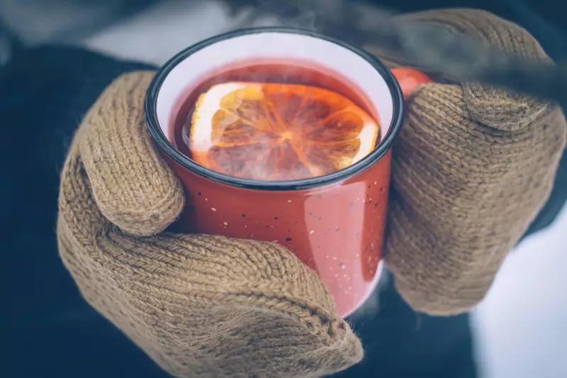 Álcool e calor: mito ou verdade? Descubra se beber realmente esquenta o corpo