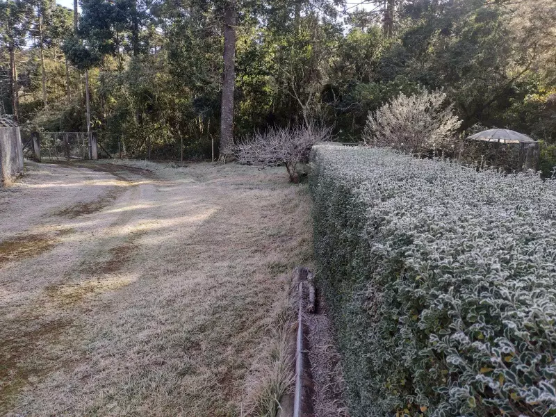 Alerta de geada no Vale do Paraíba: 15 cidades em risco e plantações ameaçadas