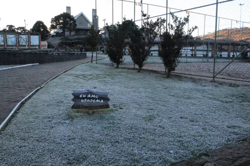 Alerta laranja para geada: veja os estados mais afetados pelo frio intenso nesta terça-feira