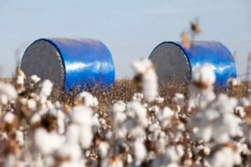 Algodão de Mato Grosso brilha em evento que une moda, agro e impacto social
