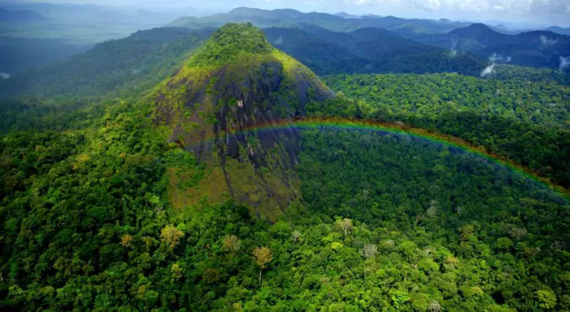 Amapá: 20 unidades de conservação protegem 50% do território do estado — saiba como funcionam