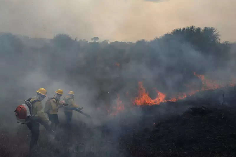 Amazônia em chamas: Brasil perde 3 milhões de hectares em queimadas em 2024