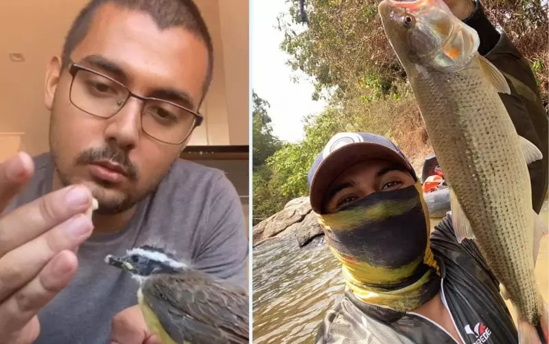 Ambientalista arrisca a vida para salvar cobra em rodovia de Goiás — veja o vídeo