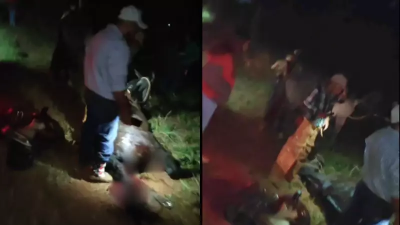 Animal invade estrada e causa acidente durante cavalgada no Triângulo Mineiro
