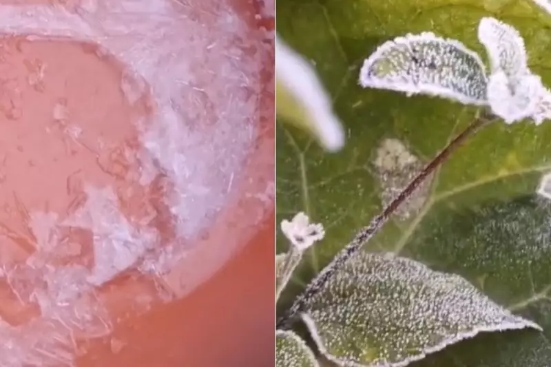 Apiaí registra -1,9°C e se destaca entre as cidades mais frias de SP com geada