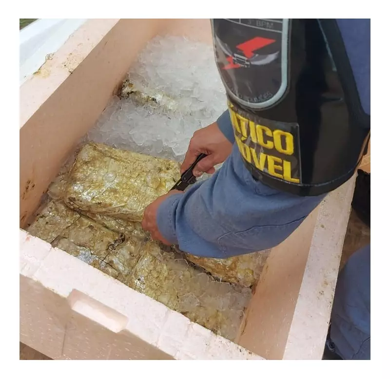 Apreensão de 28 kg de drogas em Tefé: Caixa abandonada em frente a loja chama atenção da polícia